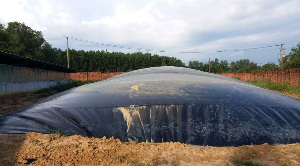 Thi công hầm Biogas bằng bạt HDPE trong chăn nuôi giảm ô nhiễm môi trường - Ảnh 1.