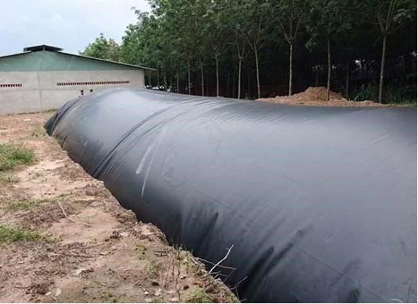Thi công hầm Biogas bằng bạt HDPE trong chăn nuôi giảm ô nhiễm môi trường - Ảnh 2.