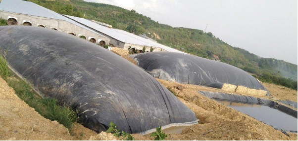 Thi công hầm Biogas bằng bạt HDPE trong chăn nuôi giảm ô nhiễm môi trường - Ảnh 3.