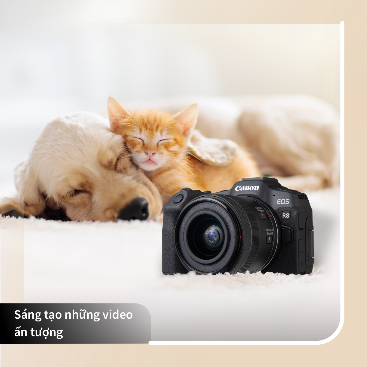 Sáng tạo nội dung video đỉnh cao với Canon EOS R8 - Ảnh 4.