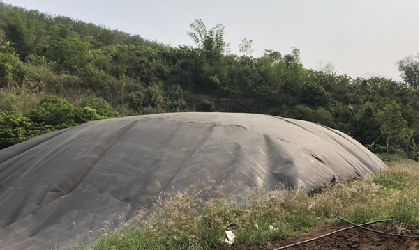 Thi công hầm Biogas bằng bạt HDPE trong chăn nuôi giảm ô nhiễm môi trường - Ảnh 4.