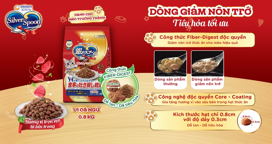 Silver Spoon tinh hoa ẩm thực Nhật chinh phục mèo sành ăn - Ảnh 2.