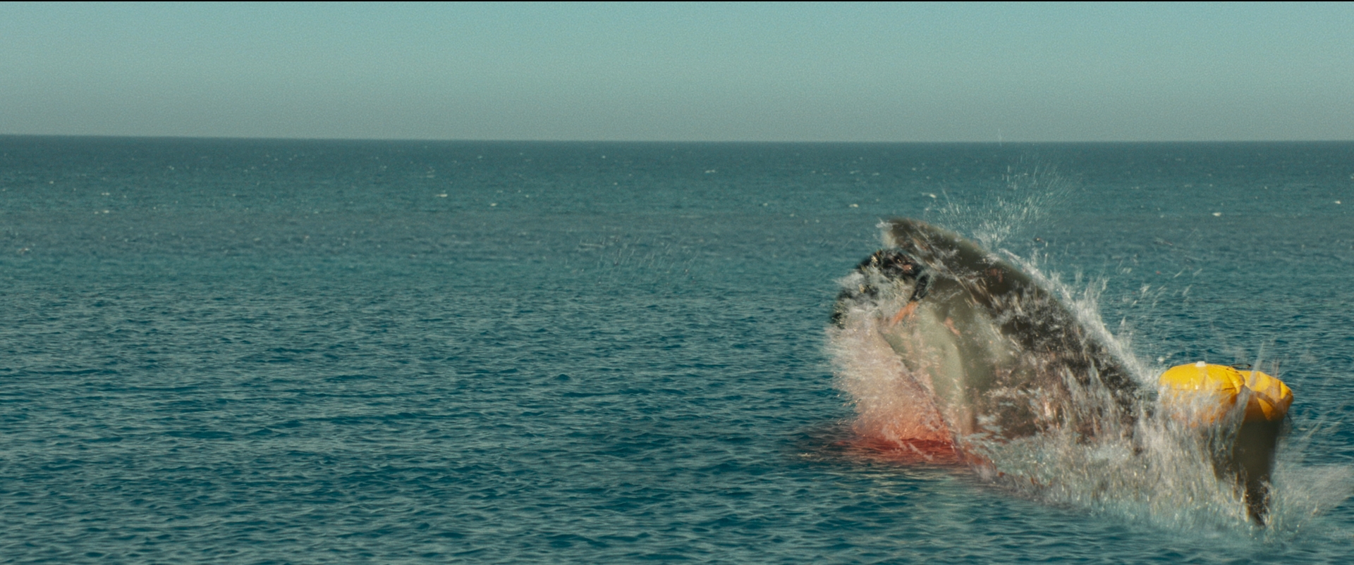 Hàm Tử Thần - Tựa phim rùng rợn xoay quanh đàn cá mập khát máu đáng xem bậc nhất hè này - Ảnh 2.