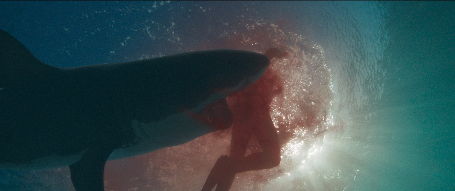Hàm Tử Thần - Tựa phim rùng rợn xoay quanh đàn cá mập khát máu đáng xem bậc nhất hè này - Ảnh 3.