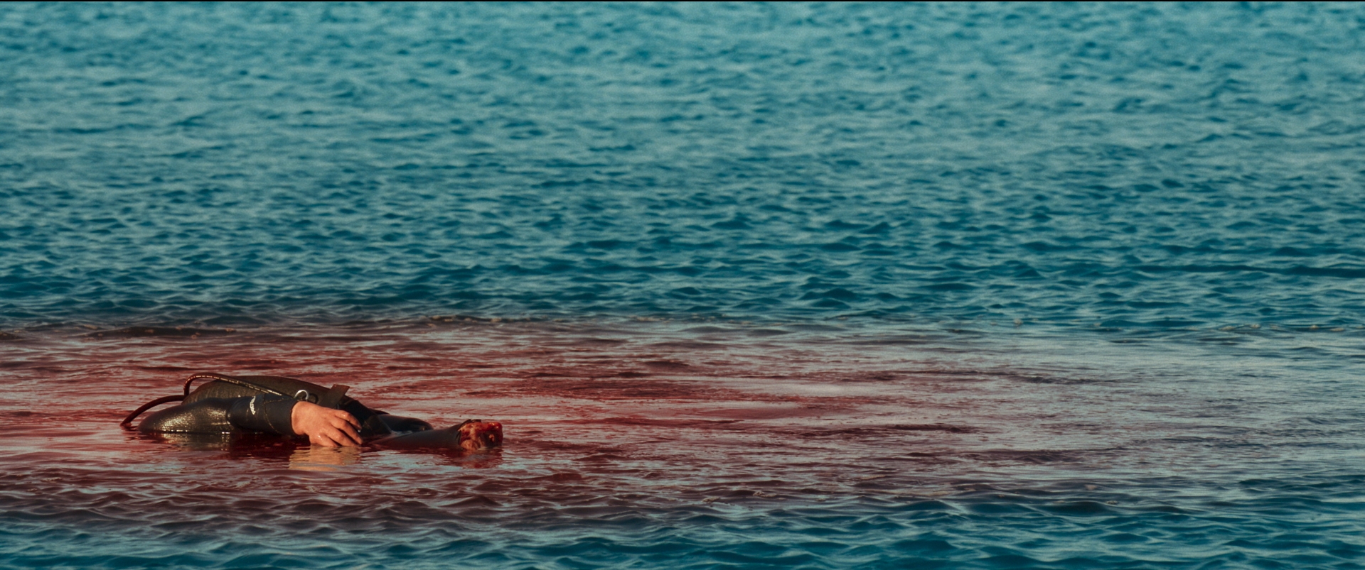 Hàm Tử Thần - Tựa phim rùng rợn xoay quanh đàn cá mập khát máu đáng xem bậc nhất hè này - Ảnh 4.