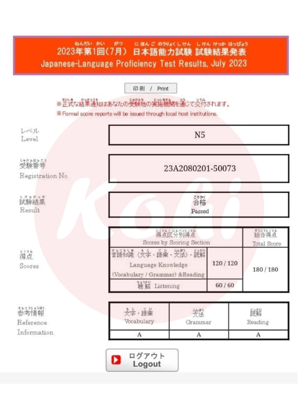 Học viên Kohi chia sẻ bí quyết đỗ điểm tuyệt đối JLPT sau 1 lần thi - Ảnh 3.