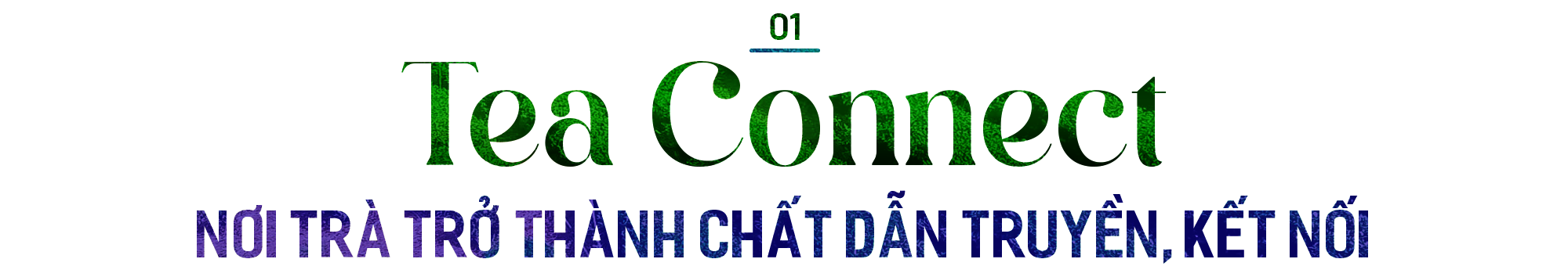 Tea Connect – một khái niệm mới trong công tác đối ngoại, đưa văn hóa trà Việt ra khắp thế giới - Ảnh 1.