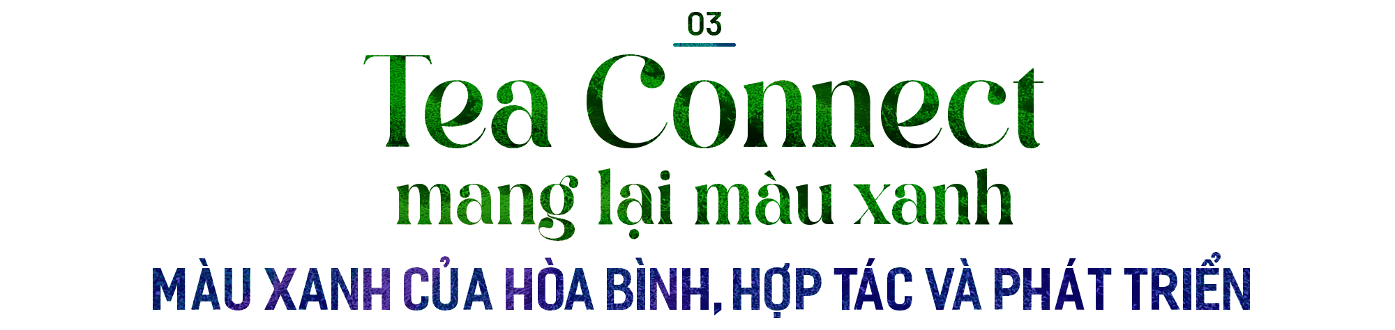 Tea Connect – một khái niệm mới trong công tác đối ngoại, đưa văn hóa trà Việt ra khắp thế giới - Ảnh 9.