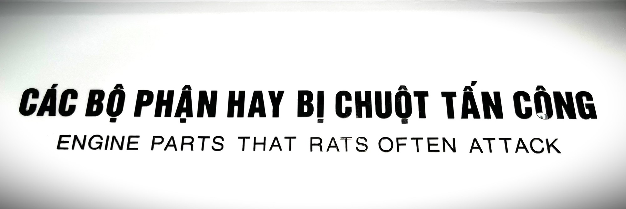 Rats Away - Chống chuột chuyên dụng cho ô tô - Ảnh 4.