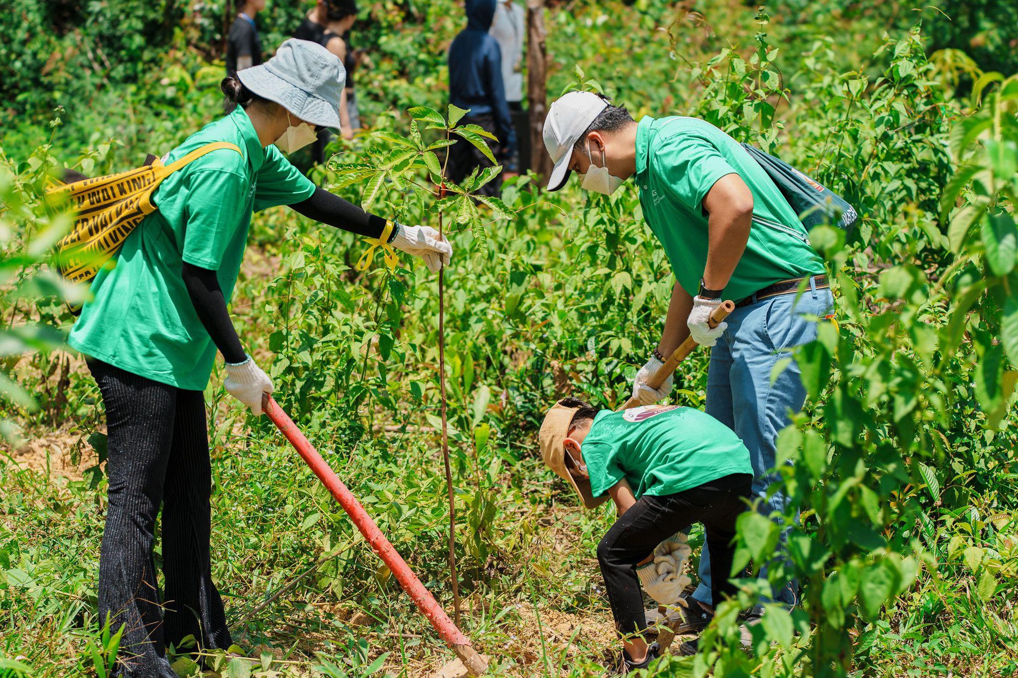 Diageo Việt Nam tiếp tục tham gia hoạt động trồng rừng tại Khu dự trữ sinh quyển Đồng Nai - Ảnh 3.