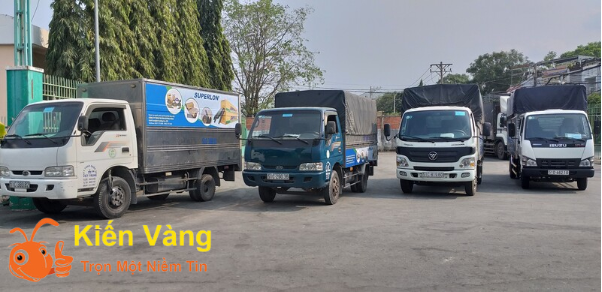 Top 3 công ty dịch vụ chuyển nhà tại Hà Nội giá rẻ - Ảnh 6.