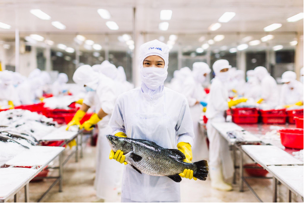 Tập đoàn Thiên Á ký kết phân phối cá vược từ Australis Việt Nam - Ảnh 1.