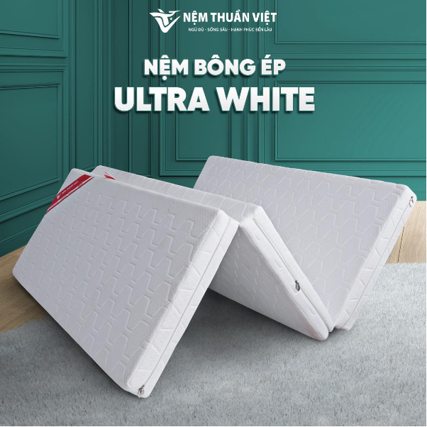 Sự cải tiến nổi bật của nệm bông ép trong thị trường nội thất hiện đại