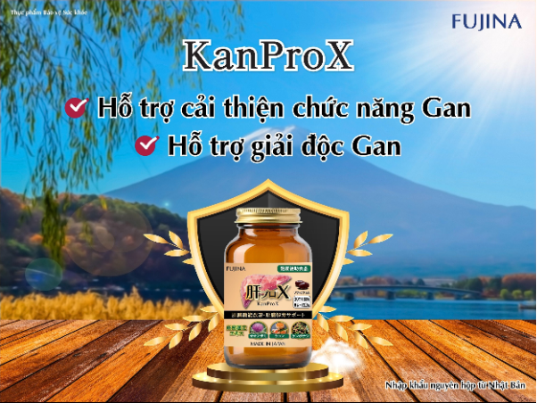 &quot;Chiến thần&quot; bảo vệ lá gan mùa Tết - Thực phẩm bảo vệ sức khoẻ Nhật Bản KanProX - Ảnh 4.