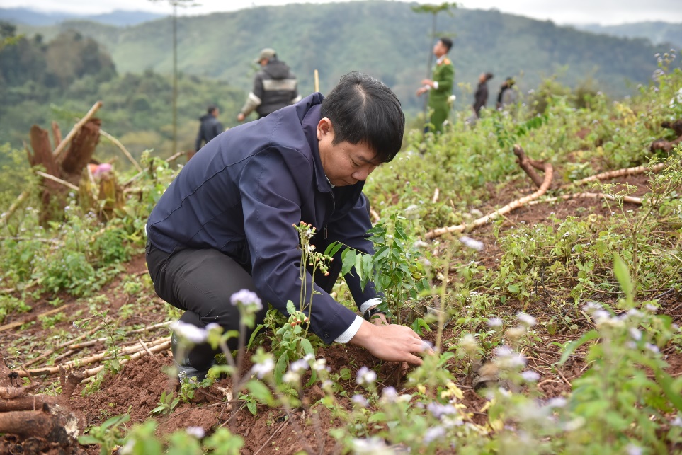 ABBANK gây quỹ tặng 50.000 cây xanh hỗ trợ sinh kế cho Quảng Bình - Ảnh 3.