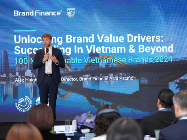 Báo cáo giá trị và sức mạnh thương hiệu Việt của Brand Finance: Những doanh nghiệp nào sẽ giữ vững phong độ năm 2024? - Ảnh 4.