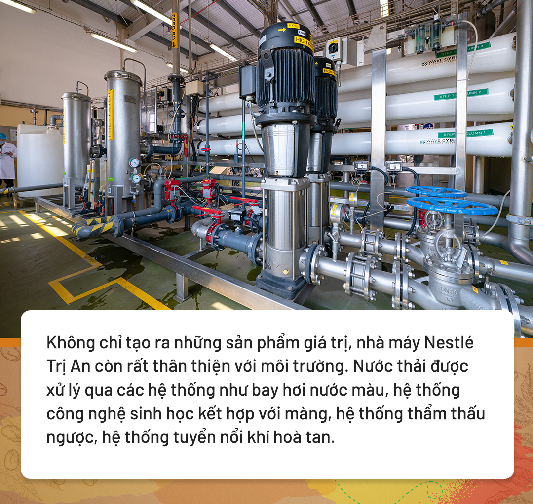 Nông dân hạnh phúc vì cà phê nhà trồng vươn tầm thế giới- Ảnh 8.