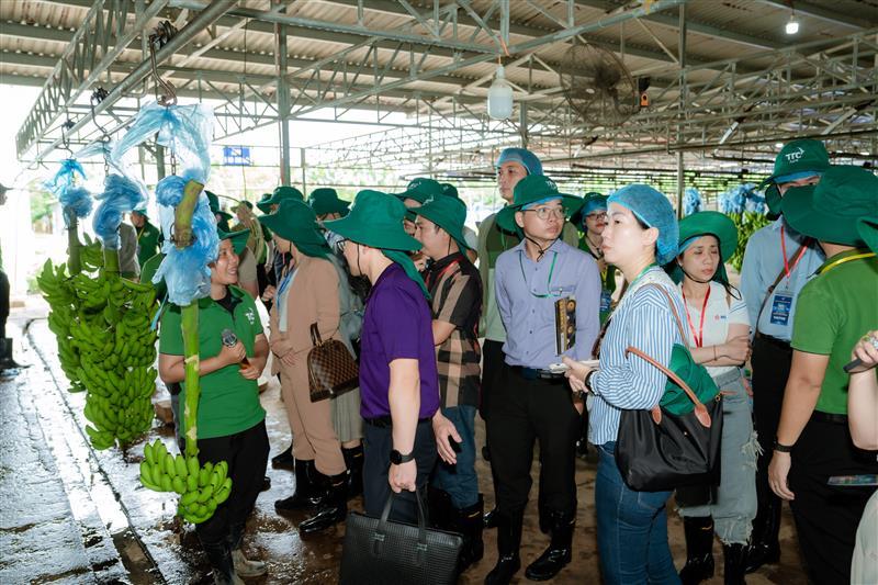 TTC AgriS đẩy mạnh tái cấu trúc tài chính, tiến nhanh vào thị trường FBMC toàn cầu- Ảnh 3.