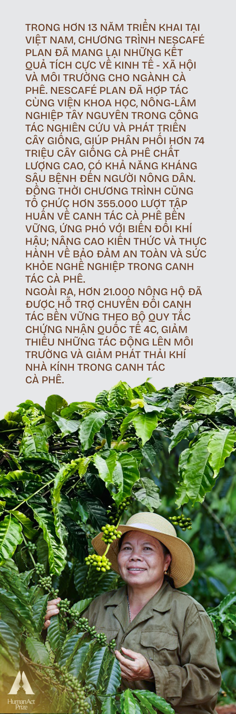Phía sau hành trình những hạt cà phê bền vững của Việt Nam: Hai điều đặc biệt và thuyết “quả tuyết lăn”- Ảnh 12.