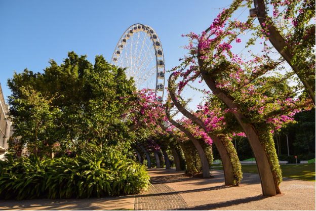 Nét hút hồn của Brisbane nhìn từ 5 công viên ngoài trời nổi tiếng - Ảnh 1.