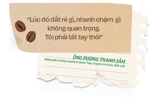 Nông dân thành triệu phú nhờ nông nghiệp tái sinh, câu chuyện từ vỏ lon, chai nhựa, và hành trình trở thành số một thế giới của cà phê Robusta Việt Nam - Ảnh 2.