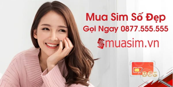 Chỉ vài thao tác đơn giản biết ngay giá trị số điện thoại tại muasim.vn - Ảnh 1.