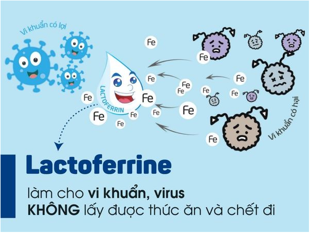 Morinaga - Chuyên gia hàng đầu về Lactoferrin toàn cầu - Ảnh 3.