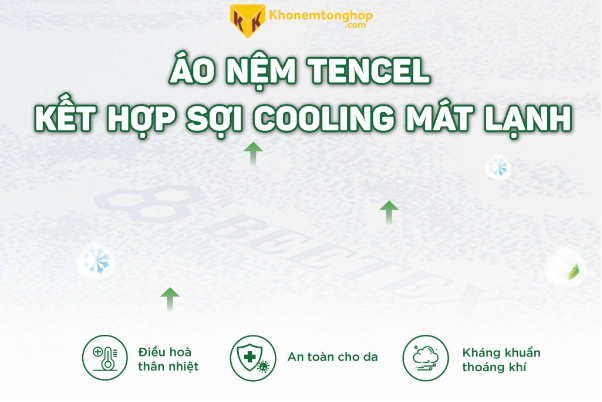 Giải mã cơn sốt nệm cao su thiên nhiên Beetex Cool Massage - Ảnh 2.