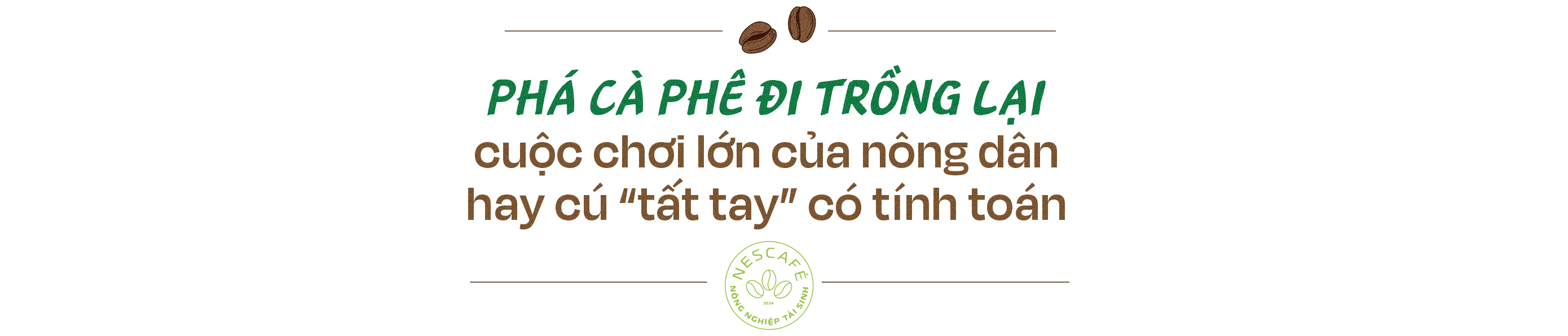 Nông dân thành triệu phú nhờ nông nghiệp tái sinh, câu chuyện từ vỏ lon, chai nhựa, và hành trình trở thành số một thế giới của cà phê Robusta Việt Nam - Ảnh 12.