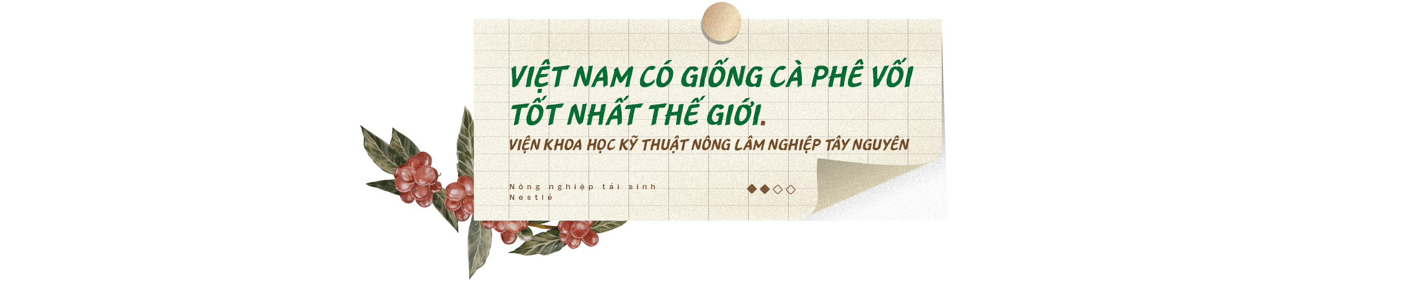 Nông dân thành triệu phú nhờ nông nghiệp tái sinh, câu chuyện từ vỏ lon, chai nhựa, và hành trình trở thành số một thế giới của cà phê Robusta Việt Nam - Ảnh 16.