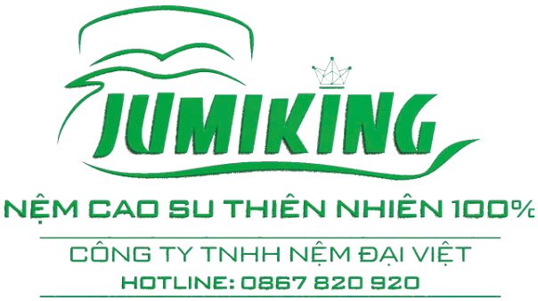 Nệm Jumiking vinh dự đạt Top 100 Thương hiệu uy tín đạt chuẩn quốc gia- Ảnh 4.