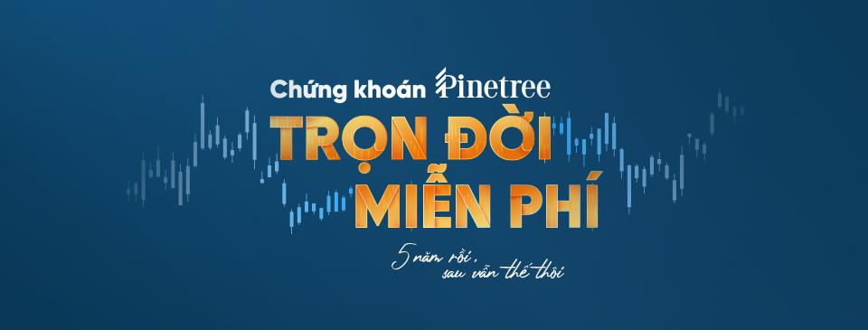 NĐT “tay to” ưu tiên gì khi chuyển công ty chứng khoán? - Ảnh 1.