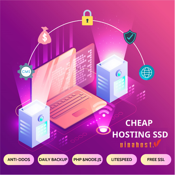 VinaHost - Giải pháp tăng tốc Website an toàn, chất lượng, uy tín tại Việt Nam - Ảnh 2.