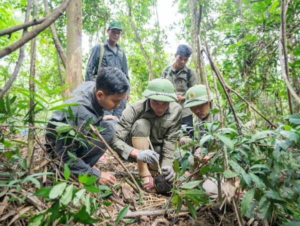 Công tác nỗ lực tuần tra, tháo gỡ bẫy tại vườn quốc gia Vũ Quang - Hà Tĩnh - Ảnh 2.