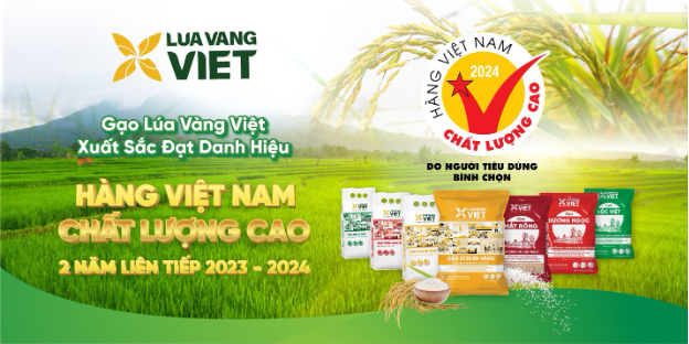 Lúa Vàng Việt - Thương hiệu gạo đến từ Tây Ninh đang ngày một lớn mạnh - Ảnh 1.