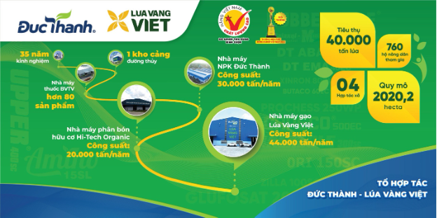 Lúa Vàng Việt - Thương hiệu gạo đến từ Tây Ninh đang ngày một lớn mạnh - Ảnh 2.
