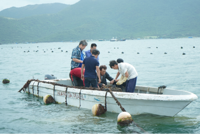 Khánh Hòa và Nhật Bản hợp tác phát triển công nghiệp ngọc trai tại Việt Nam - Ảnh 2.