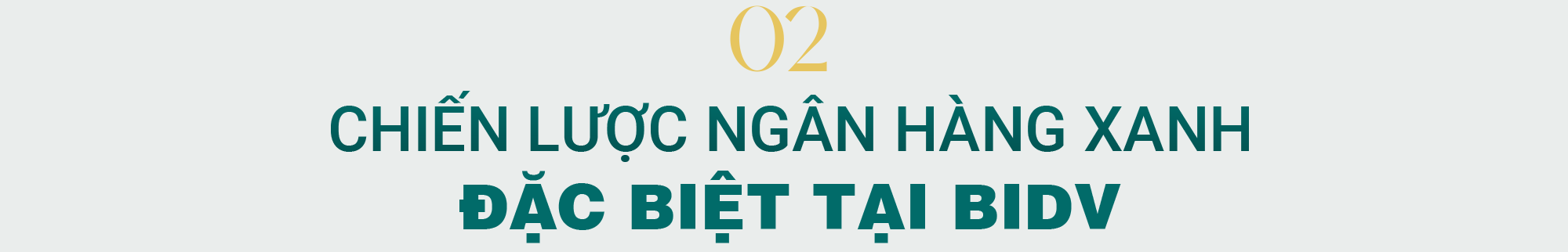 Chiến lược xanh đặc biệt tại ngân hàng lớn nhất Việt Nam - Ảnh 6.