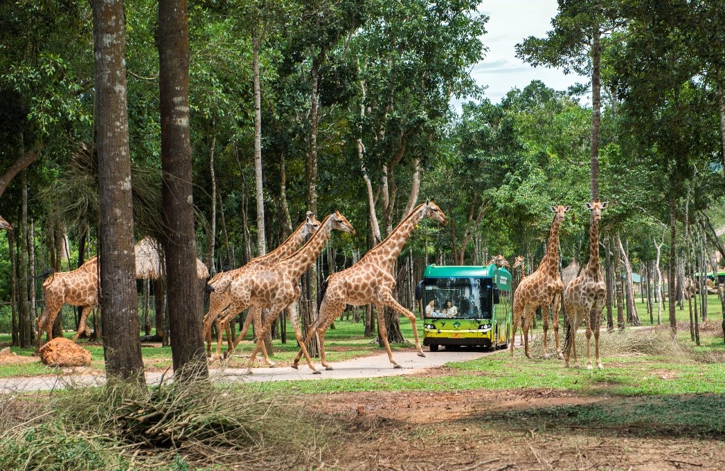 Khám phá bộ đôi trải nghiệm “chạm đến hoang dã” siêu hot tại Vinpearl Safari Phú Quốc - Ảnh 13.