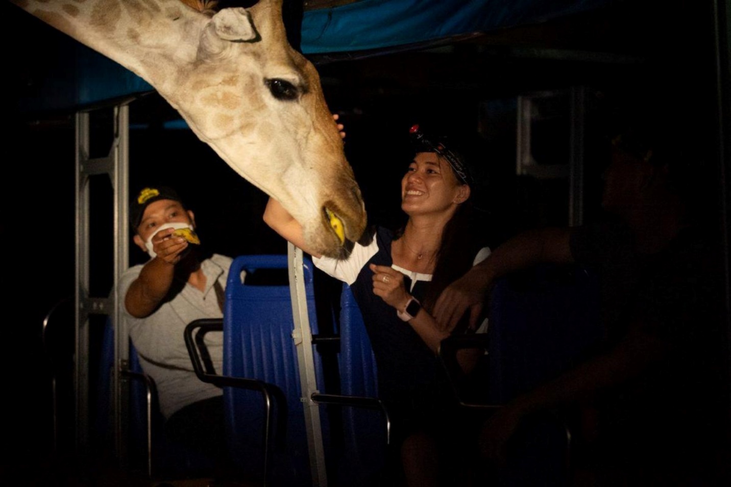 Khám phá bộ đôi trải nghiệm “chạm đến hoang dã” siêu hot tại Vinpearl Safari Phú Quốc - Ảnh 7.