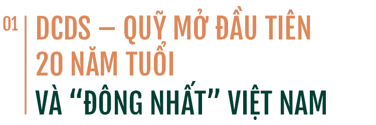 Quỹ quốc dân DCDS: Sự hiệu quả của đầu tư dài hạn
