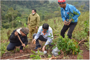 ABBank tặng 50.000 cây gỗ lớn cho người dân Quảng Bình - Ảnh 2.