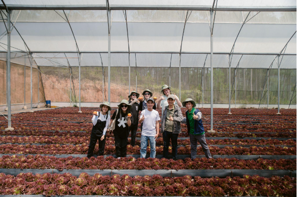 Khám phá nông trường công nghệ cao tại thủ phủ rau củ Lâm Đồng - Ảnh 13.