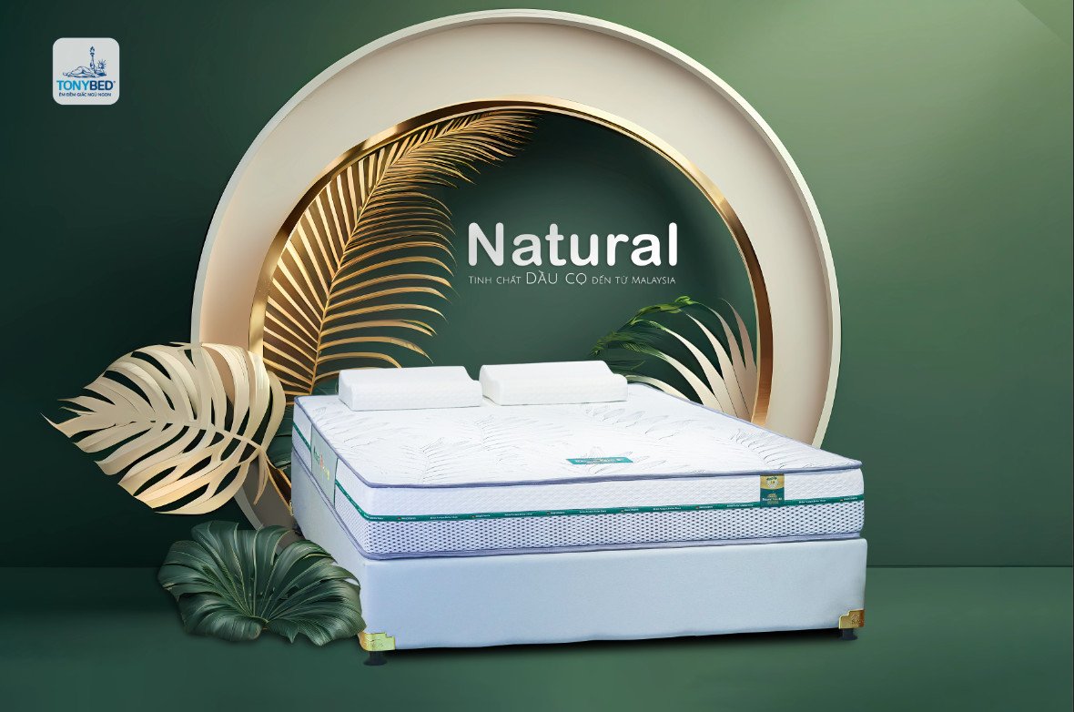 Tonybed tung ra nhiều sản phẩm chăn ga gối nệm thân thiện môi trường được giới trẻ yêu thích - Ảnh 3.