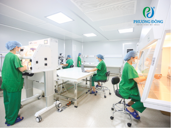 DFT 1:1 - Giải pháp đột phá trong điều trị IVF- Ảnh 4.