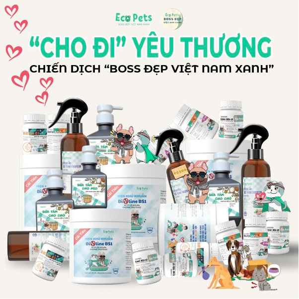 Ecopets tiếp tục thực hiện chiến dịch Boss đẹp Việt Nam xanh - Ảnh 1.