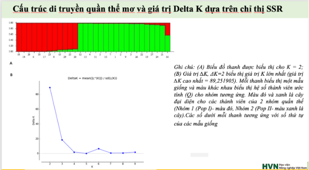 Xây dựng cơ sở dữ liệu và mã vạch ADN cho cây mơ Hương Tích - Ảnh 2.