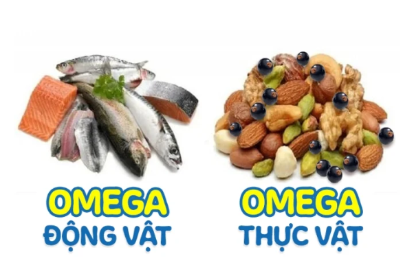 Khám phá lợi ích Omega thực vật - dưỡng chất lành cho bé từ 1 ngày tuổi - Ảnh 1.