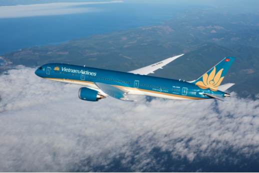 Chiến dịch phục hồi 50 hecta rừng của Vietnam Airlines - Ảnh 3.