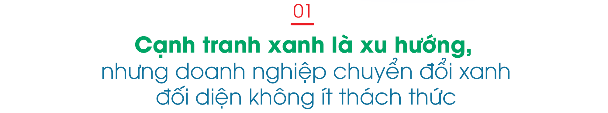 Khi yếu tố “xanh” trở thành một trong những lợi thế cạnh tranh, doanh nghiệp sẽ chuyển mìnhnhư thế nào? - Ảnh 1.